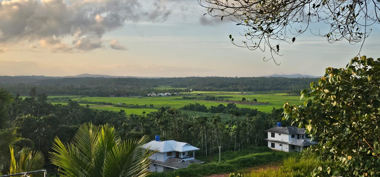 Wayanad HillTop Landscape View